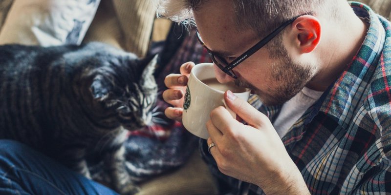 Pet Rescue Organizations